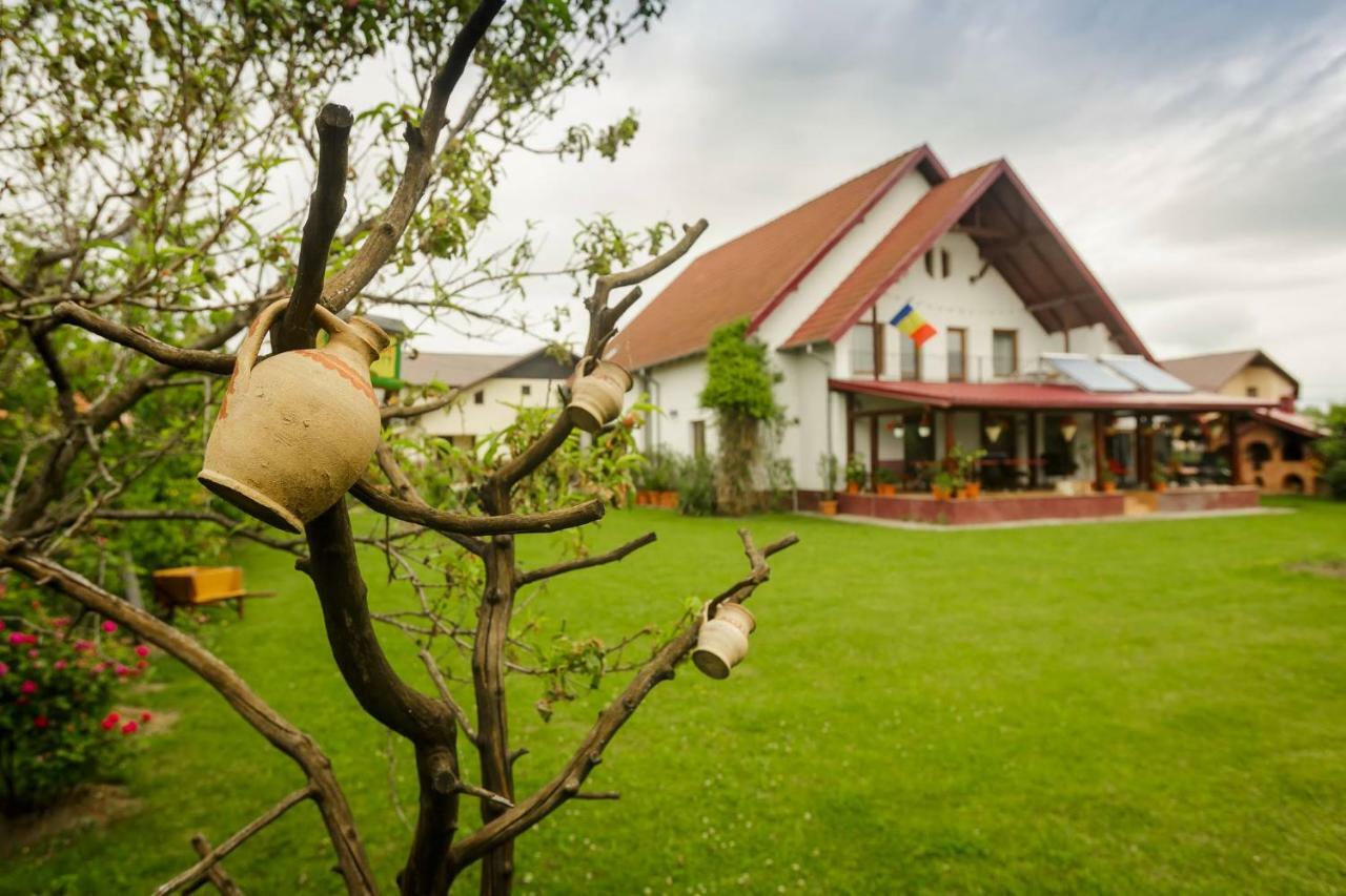 Casa Florilor Hotel คูร์ตา เด อาร์เจช ภายนอก รูปภาพ